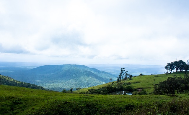 他们在面对 他们在面对