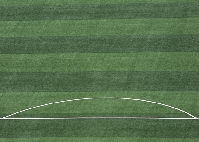 球场上以速 球场上以速