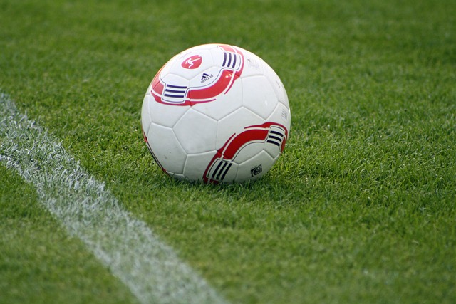 也有吧友表 也有吧友表