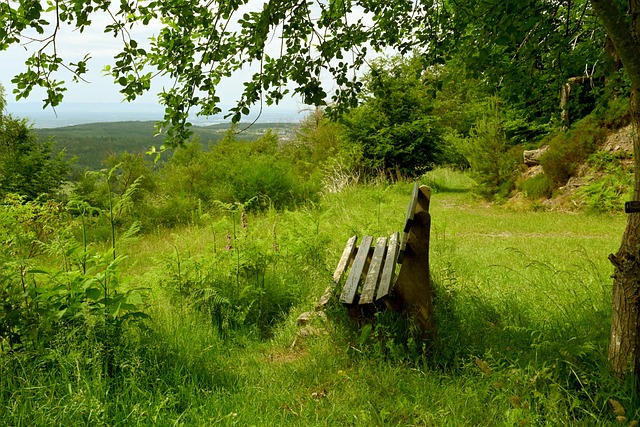 快速响应 快速响应