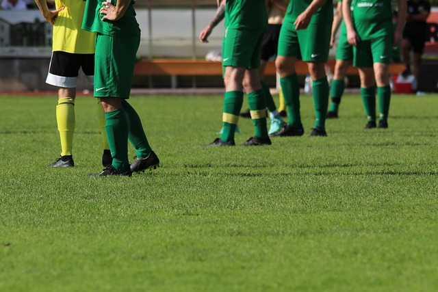 友的支持 友的支持