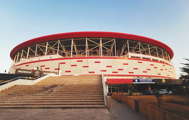 是球队的晴 是球队的晴