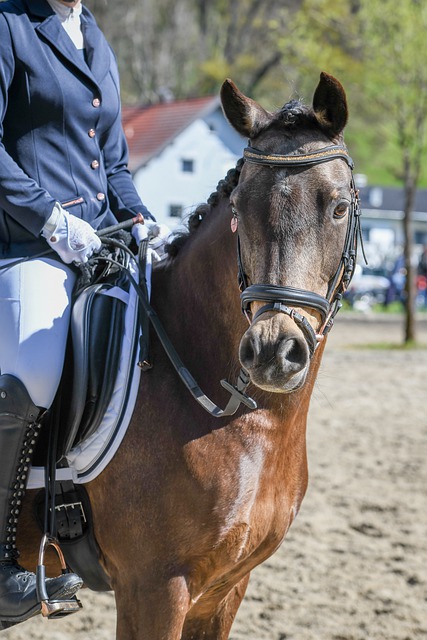 这句话虽然 这句话虽然