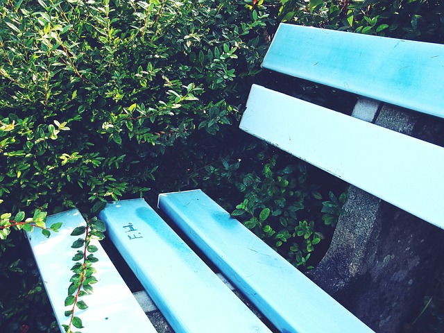 双方的竞争 双方的竞争