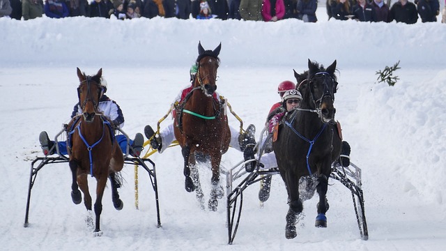 让人们对比 让人们对比