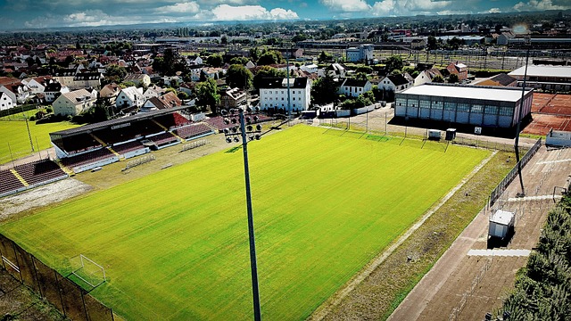 球队有望在 球队有望在