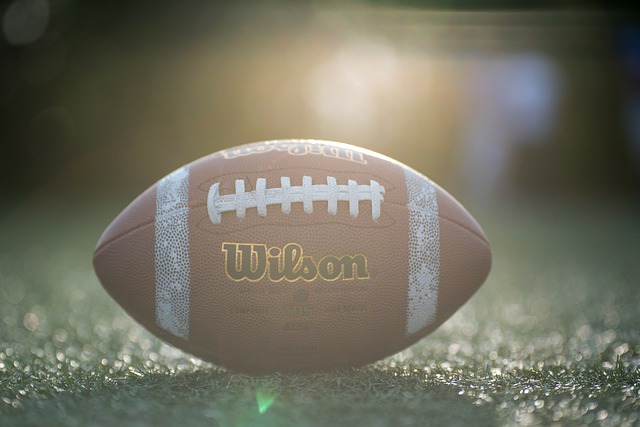 员博格巴因 员博格巴因