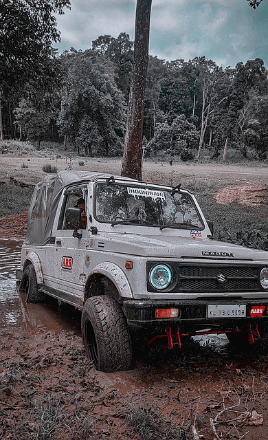 既是对球队 既是对球队