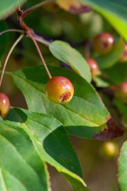 好奇和关注 好奇和关注